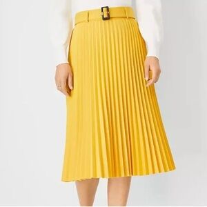 Ann Taylor Mustard A-Line Pleated Skirt